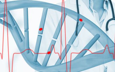 【动物实验】-美科学家实验表明改变肝脏基因可降低心脏病发作风险