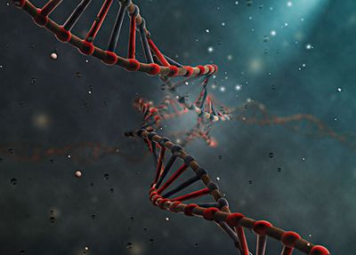 麻省理工学院用CRISPR构建小鼠癌症模型