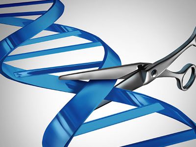 【动物造模】-致死病毒新型模型