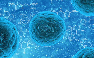 通过动物造模技术发现抑制乳腺癌肿瘤干细胞新策略