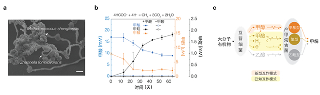 我国学者与海外合作者在厌氧微生物互作产甲烷机制领域取得新进展