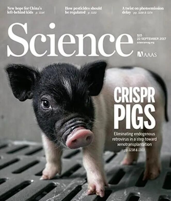 云南农业大学副校长团队发表《Science》封面论文，在顶级期刊（IF=33）再次取得领域突破性进展