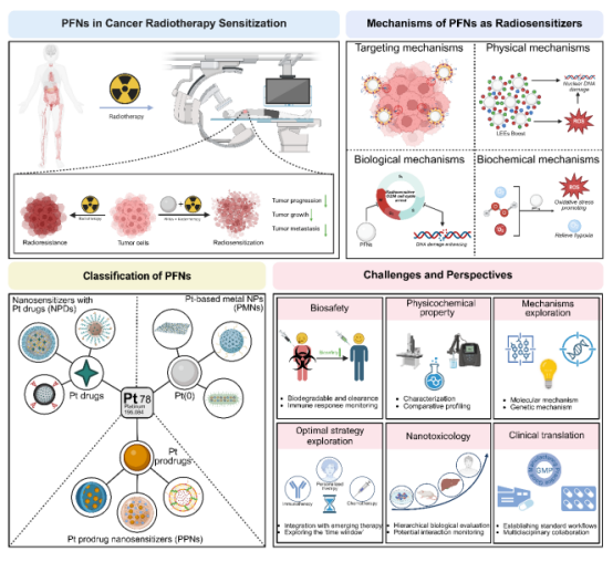 IF=33.9&16.1！青岛大学两个“泰山学者”教授连发国际高水平研究成果