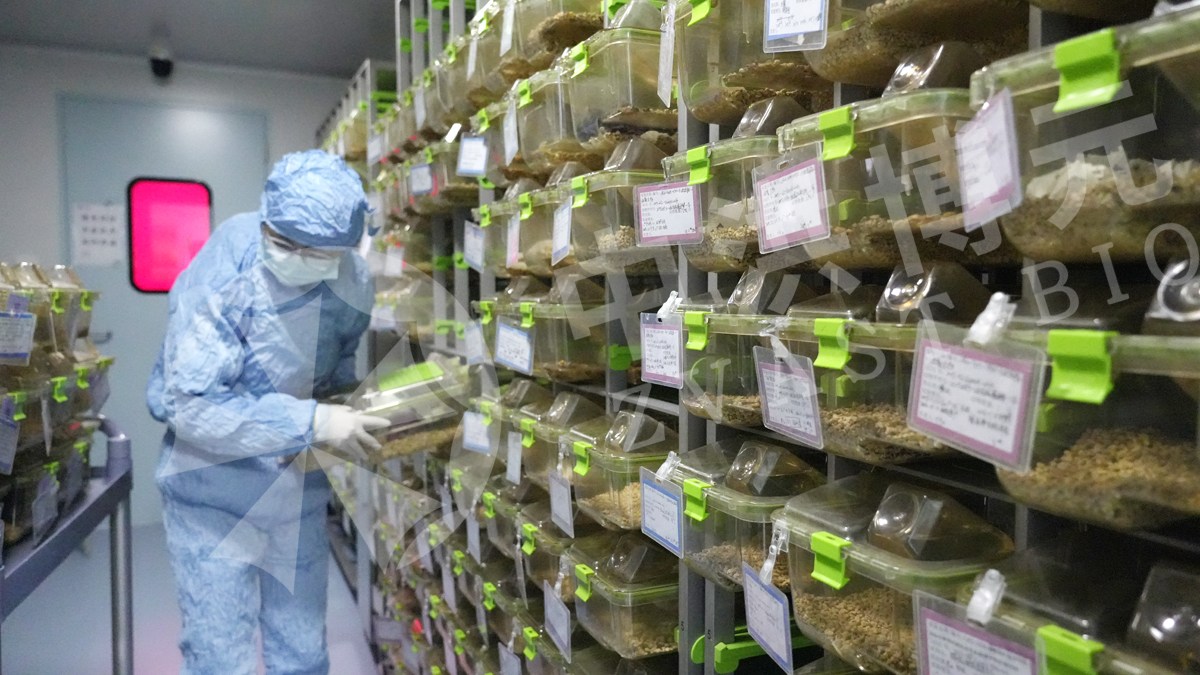 做实验，来中洪！专业实验室，高标准做实验!