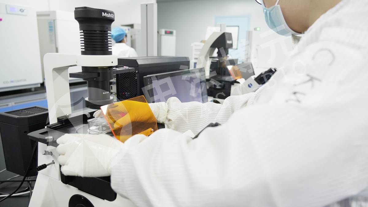 做实验，来中洪！镜下求真，实验见真章！