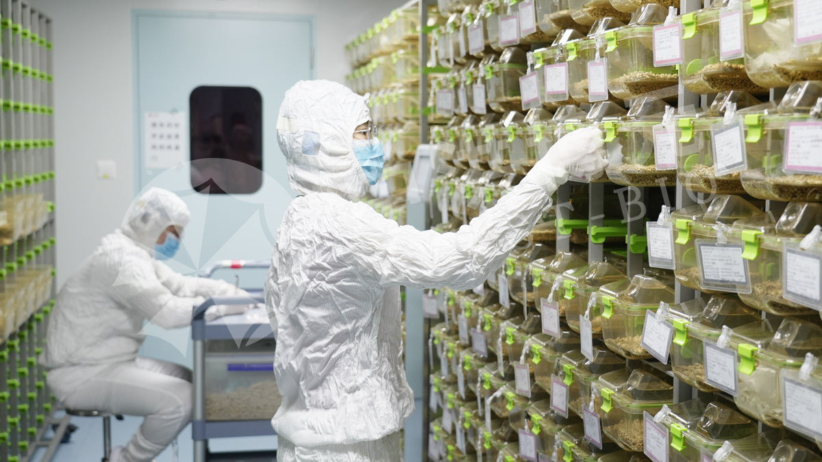 做实验，来中洪！高精设备 + 资深团队，中洪博元实验数据经得起考验