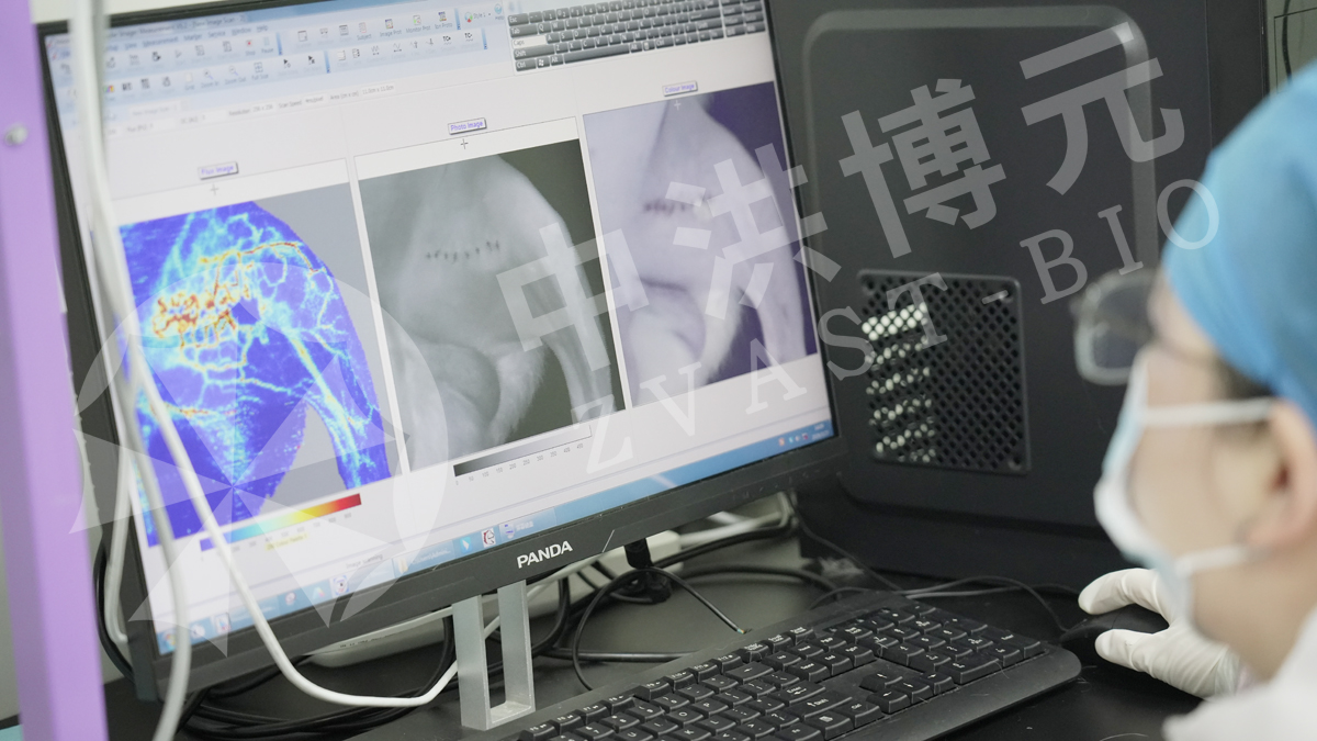 做实验，来中洪！严谨每一步，可靠每一组数据