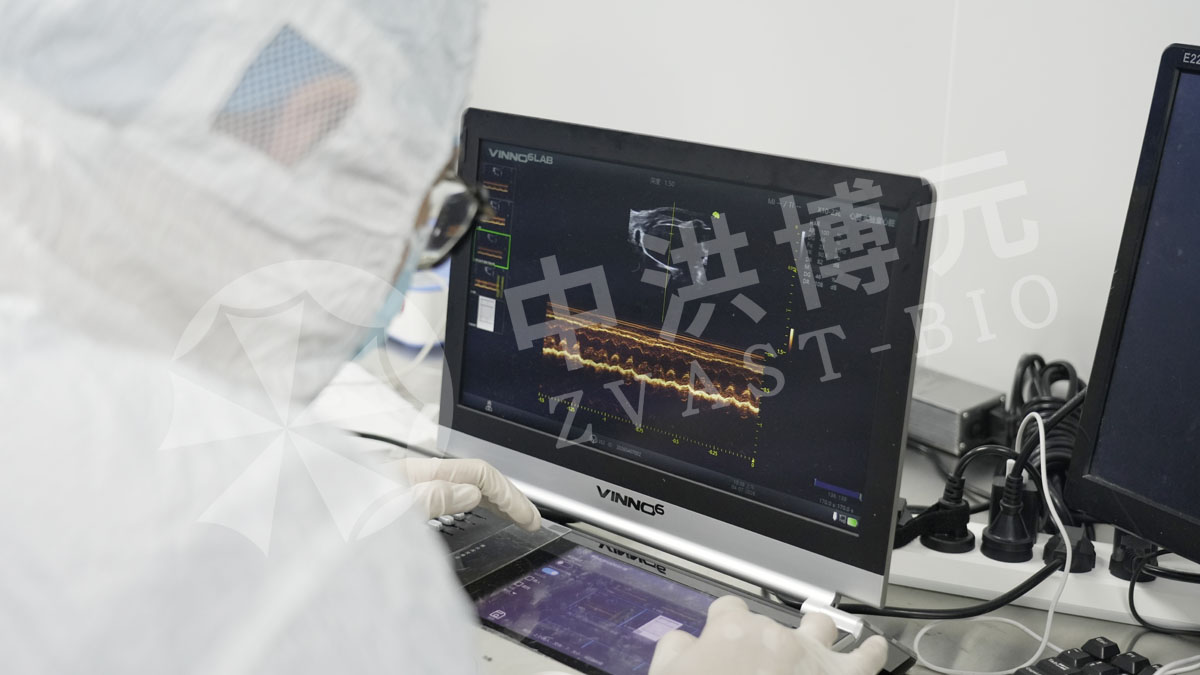 做实验，来中洪！高标准实验，高质量数据