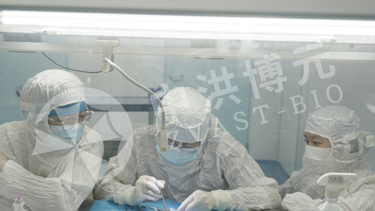 做实验,来中洪。中洪博元实验室具有全标准化 SPF 动物房与分子病理检测平台。自研成熟造模方案 + 标准化实验操作,可省去课题团队大量造模试错、场地运维、动物设施投入。从方案设计到完整数据交付全程专人对接,稳定可控的实验体系,只要您有需求可深度沟通合作。